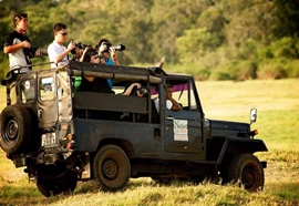 Wildlife Jeep Safari